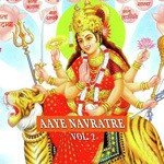 Aaye Navrate Vol. 2 - Rajesh Tiwari Song Download
